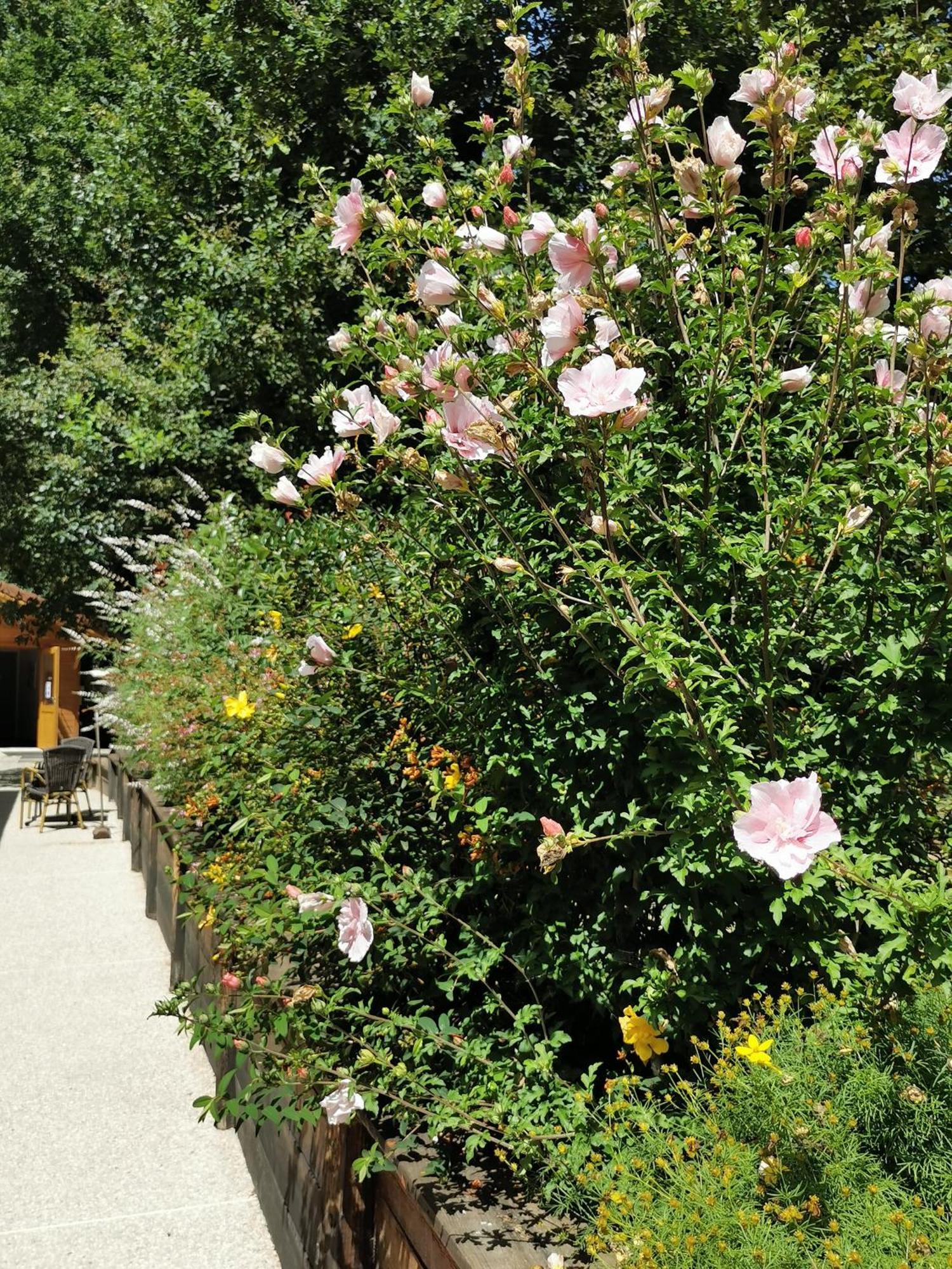 Les Cabanes De Fontfroide Saint-Antoine  Luaran gambar